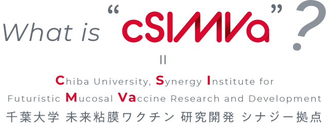 What is cSIMVa?