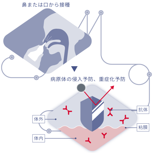 鼻に噴射したり錠剤を飲んだり