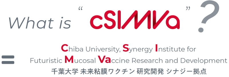 What is cSIMVa?